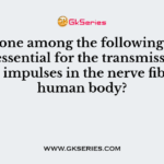 Which one among the following minerals is essential for the transmission of nerve impulses in the nerve fibres of human body?