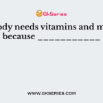 Your body needs vitamins and minerals because ___________