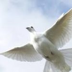 Time of Remembrance and Reconciliation for Those Who Lost Their Lives during the Second World War