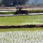 Tamil Nadu government launches integrated agri-development scheme