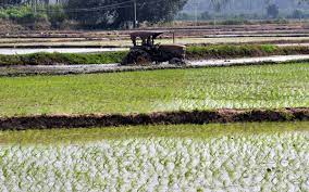 Tamil Nadu government launches integrated agri-development scheme
