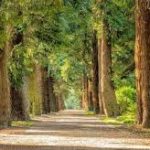 International Day for Biological Diversity 2022: 22 May