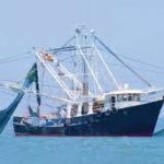 International Day for the Fight against Illegal, Unreported and Unregulated Fishing 2022