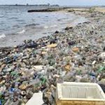 OECD projected the Global plastic waste to be tripled by 2060