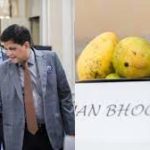 Union Minister Piyush Goyal inaugurates Mango Festival in Belgium