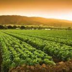 SBI General Insurance partners with nurture.farm and Future Generali