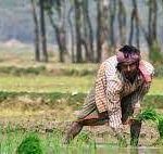 BASIX, Mastercard partner to digitize the rural ecosystem in Maharashtra