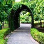 Maharashtra to get its first “Divyang Park’’ in Nagpur