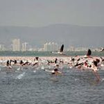 Ramsar sites: 11 more Indian wetlands have got Ramsar recognition