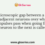 A microscopic gap between a pair of adjacent neurons over which nerve impulses pass when going from one neuron to the next is called