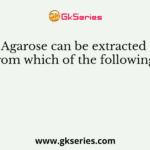 Agarose can be extracted from which of the following?
