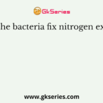 All the bacteria fix nitrogen except
