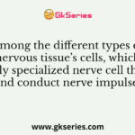 Among the different types of nervous tissue’s cells, which cell is highly specialized nerve cell that generate and conduct nerve impulses?