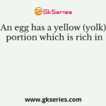 An egg has a yellow (yolk) portion which is rich in