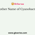 Another Name of Cyanobacteria