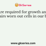 Are required for growth and repairs worn out cells in our body
