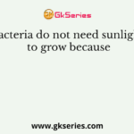 Bacteria do not need sunlight to grow because