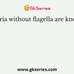Bacteria without flagella are known as