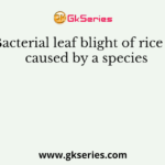 Bacterial leaf blight of rice is caused by a species