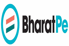 BharatPe appoints two new independent directors