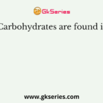 Carbohydrates are found in