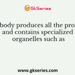 Cell body produces all the proteins and contains specialized organelles such as