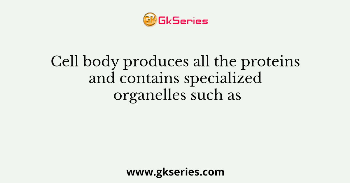 Cell body produces all the proteins and contains specialized organelles such as