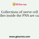 Collections of nerve cell bodies inside the PNS are called