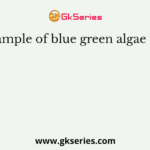 Example of blue green algae is in