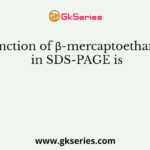 Function of β-mercaptoethanol in SDS-PAGE is