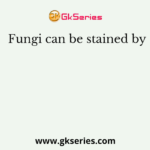 Fungi can be stained by
