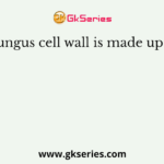 Fungus cell wall is made up of