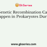 Genetic Recombination Can Happen in Prokaryotes During