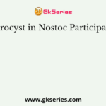 Heterocyst in Nostoc Participates in
