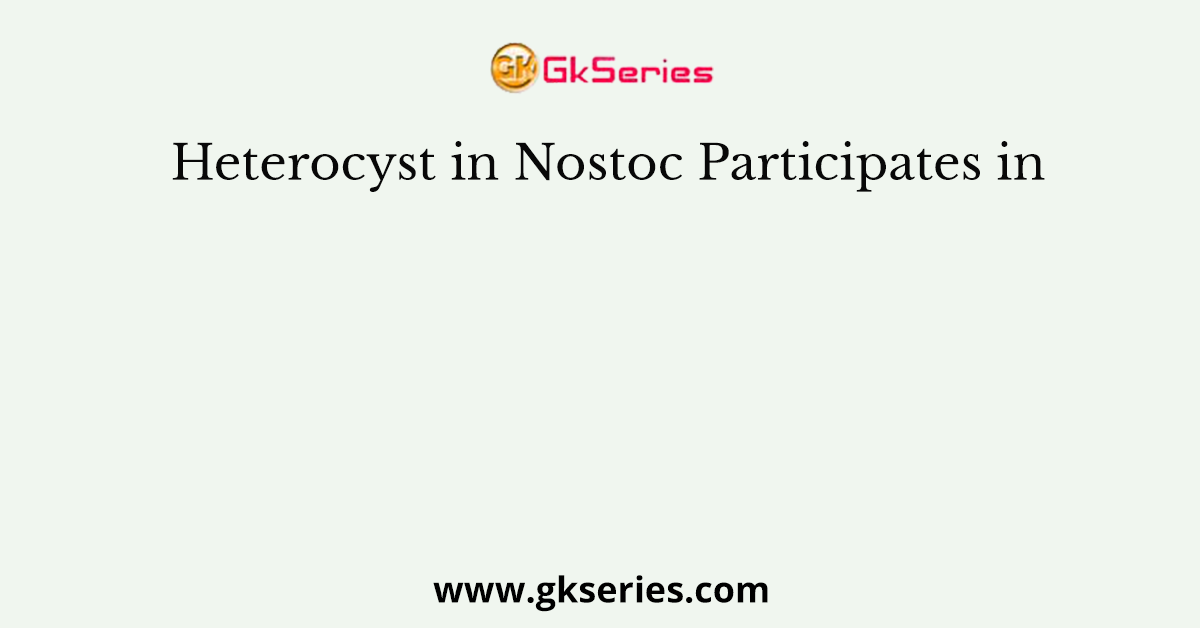 Heterocyst in Nostoc Participates in