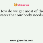 How do we get most of the water that our body needs ?