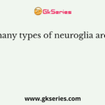How many types of neuroglia are there?