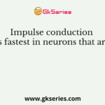 Impulse conduction is fastest in neurons that are