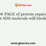 In SDS-PAGE of protein separation, one SDS molecule will binds to