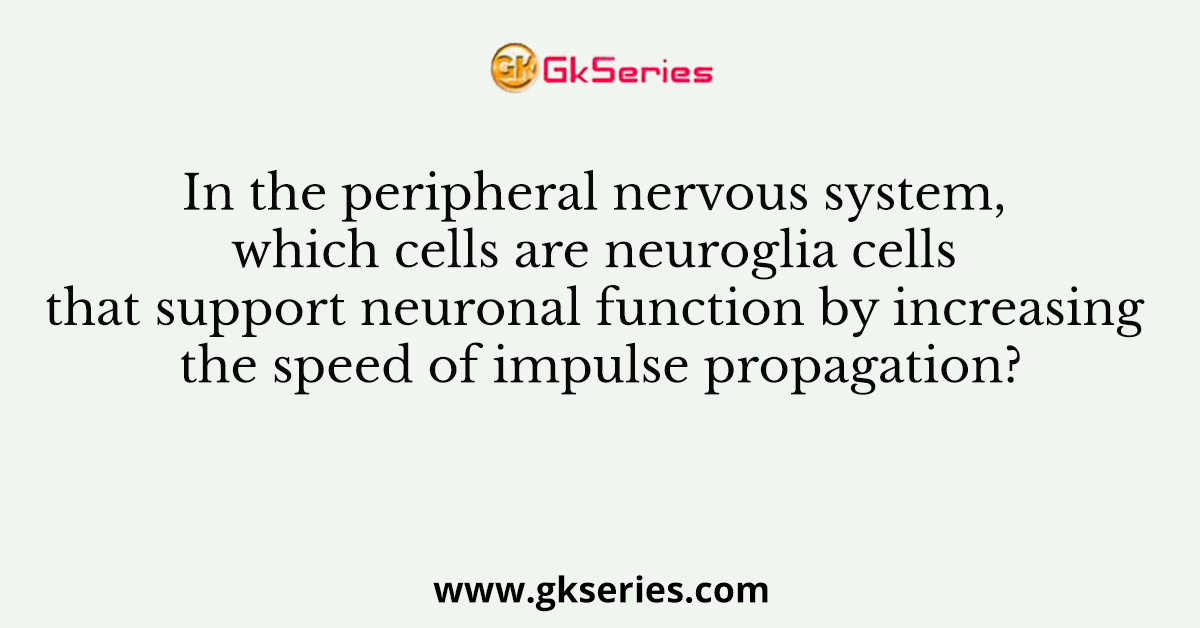 In the peripheral nervous system, which cells are neuroglia cells that support neuronal function by increasing the speed of impulse propagation?