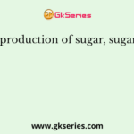 In the production of sugar, sugarcane is: