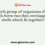 In which group of organisms the cell walls form two thin overlapping shells which fit together?