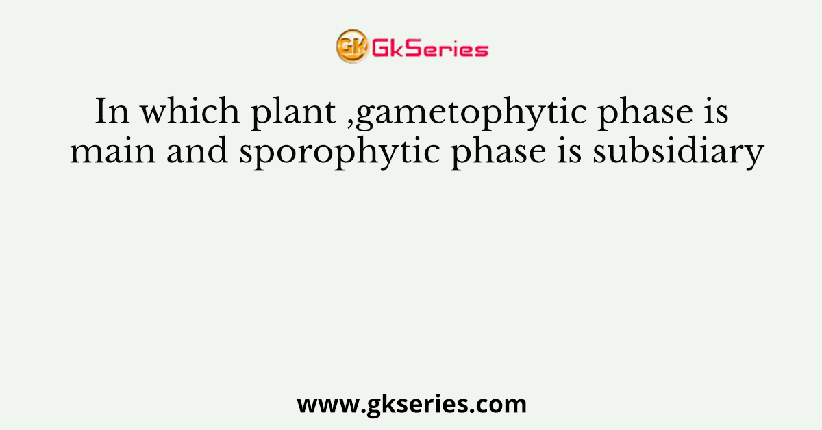 In which plant ,gametophytic phase is main and sporophytic phase is subsidiary