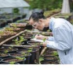 India's first forest university to come up in Telangana