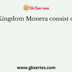 Kingdom Monera consist of