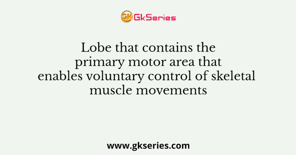 Lobe that contains the primary motor area that enables voluntary control of skeletal muscle movements