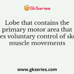 Lobe that contains the primary motor area that enables voluntary control of skeletal muscle movements