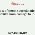 Loss of muscle coordination results from damage to the