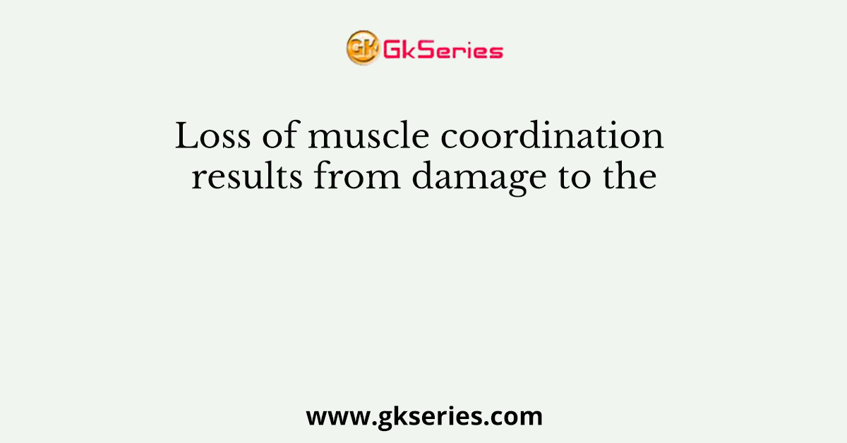 Loss of muscle coordination results from damage to the