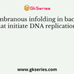 Membranous infolding in bacteria that initiate DNA replication is